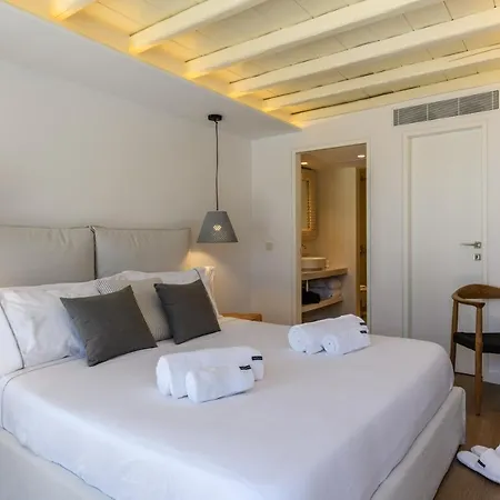 Dm Mykonos 14 Guests Private Pool Villa