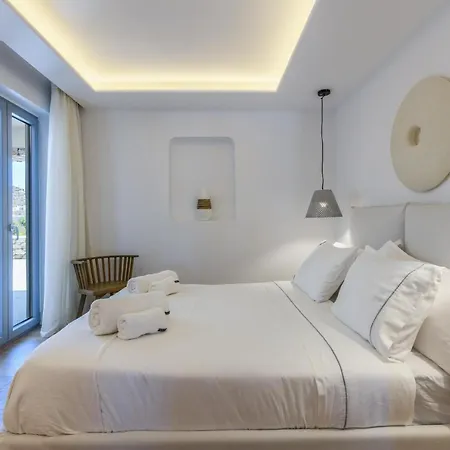 Dm Mykonos 14 Guests Private Pool Villa