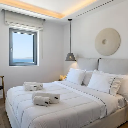 Dm Mykonos 14 Guests Private Pool *