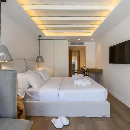 Dm Mykonos 14 Guests Private Pool Villa *