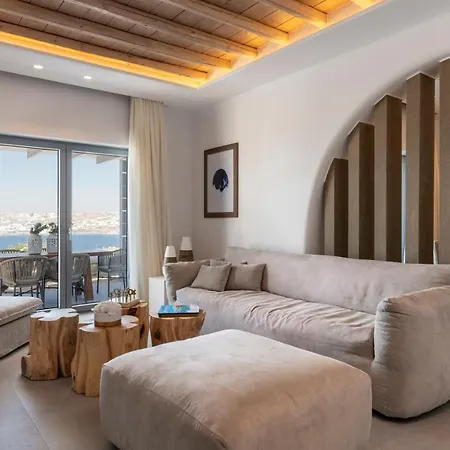 Dm Mykonos 14 Guests Private Pool Villa *